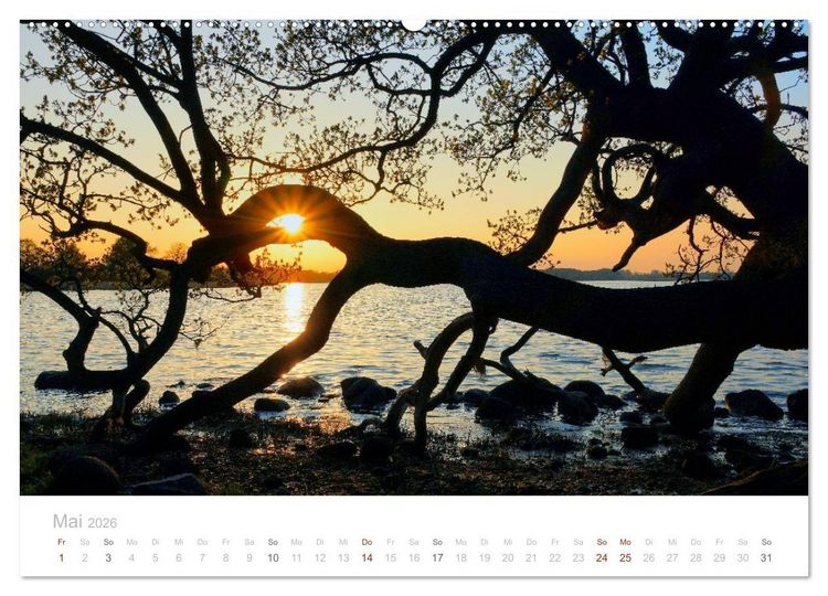 Produktbild: Zauberhafte Schlei (Wandkalender 2026 DIN A2 quer), CALVENDO Monatskalender