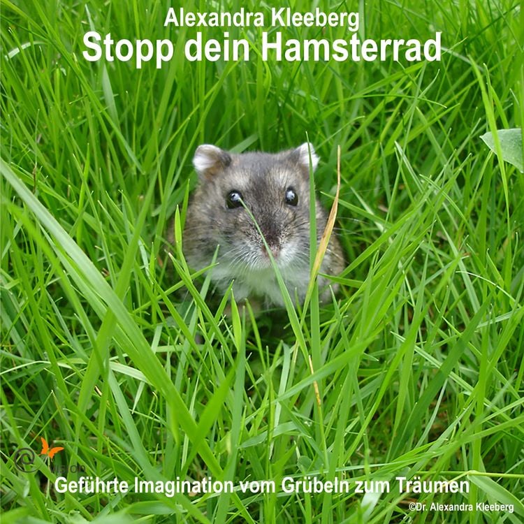 Produktbild: Stopp dein Hamsterrad