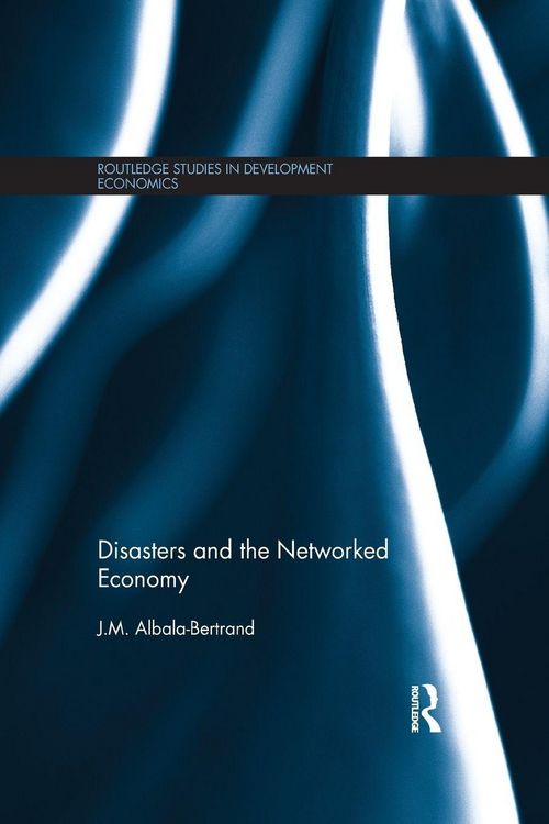 Produktbild: Disasters and the Networked Economy