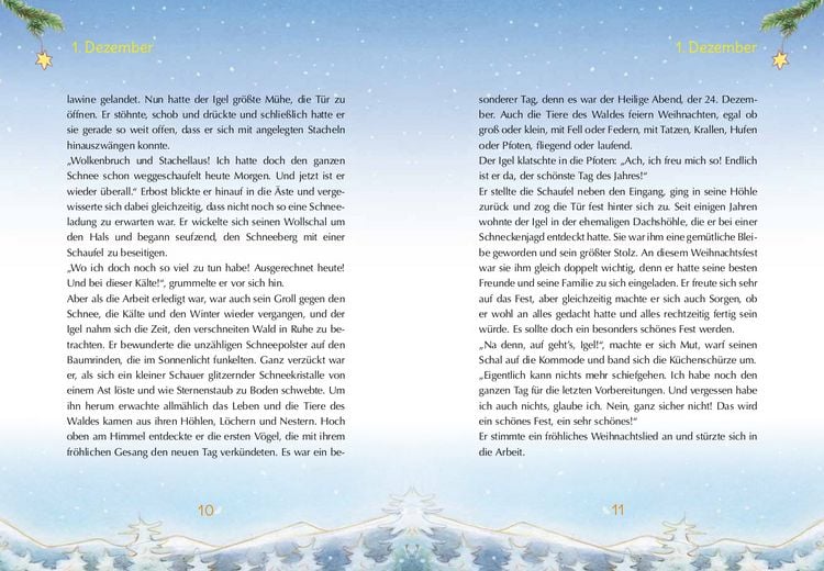 Produktbild: Igels schönstes Weihnachtsfest