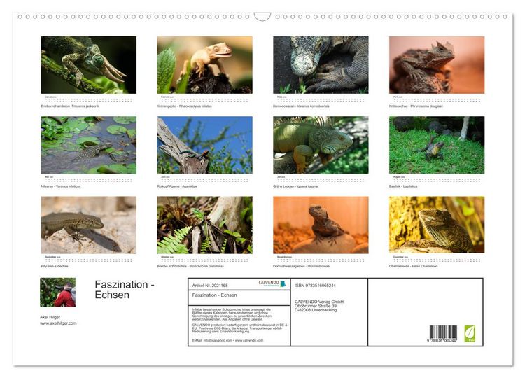 Produktbild: Faszination - Echsen (Wandkalender 2026 DIN A2 quer), CALVENDO Monatskalender