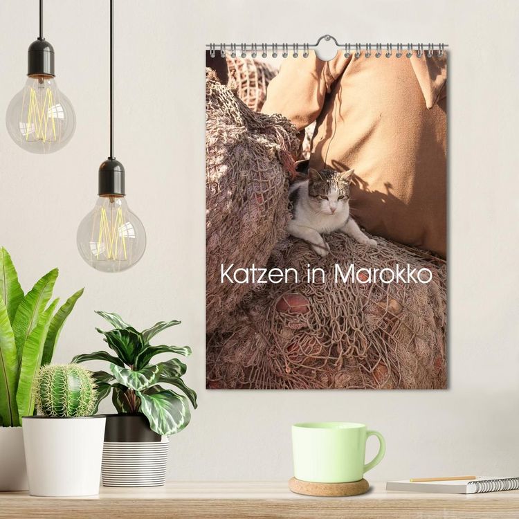 Produktbild: Katzen in Marokko (Wandkalender 2027 DIN A4 hoch), CALVENDO Monatskalender