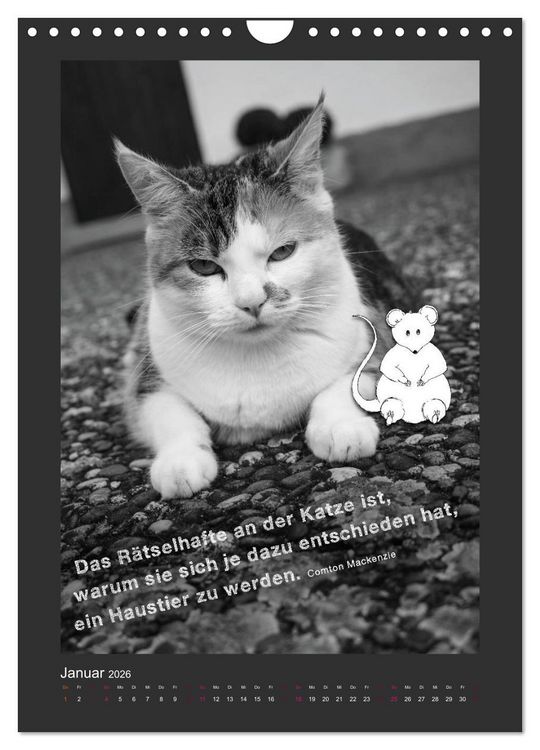 Produktbild: Katz & Maus (Wandkalender 2026 DIN A4 hoch), CALVENDO Monatskalender
