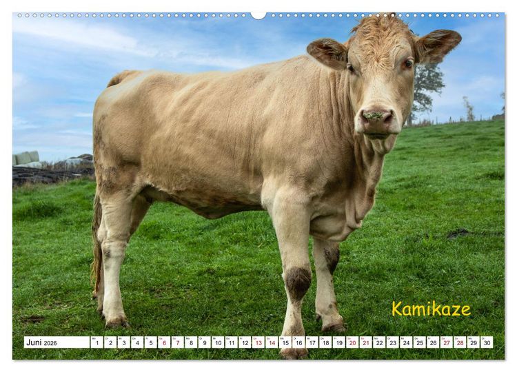 Produktbild: Aussterbende Rassen und Rarit&auml;ten (Wandkalender 2026 DIN A2 quer), CALVENDO Monatskalender