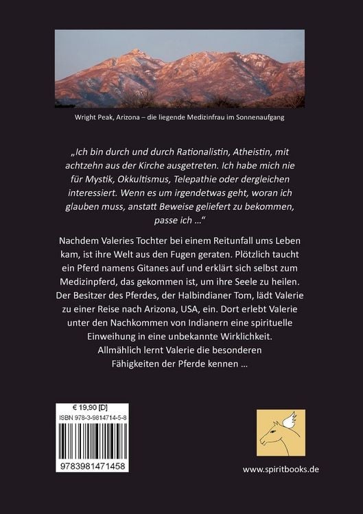 Produktbild: Das Medizinpferd