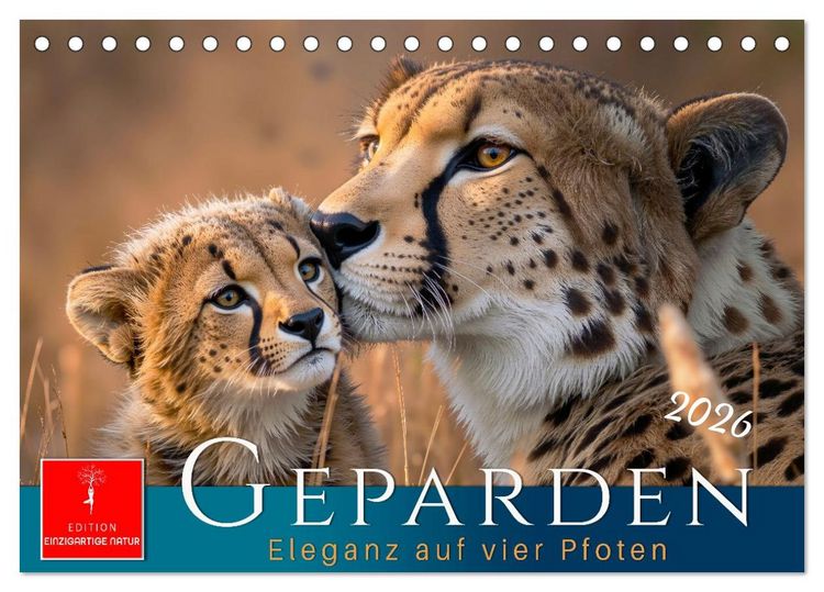 Produktbild: Geparden - Eleganz auf vier Pfoten (Tischkalender 2026 DIN A5 quer), CALVENDO Monatskalender