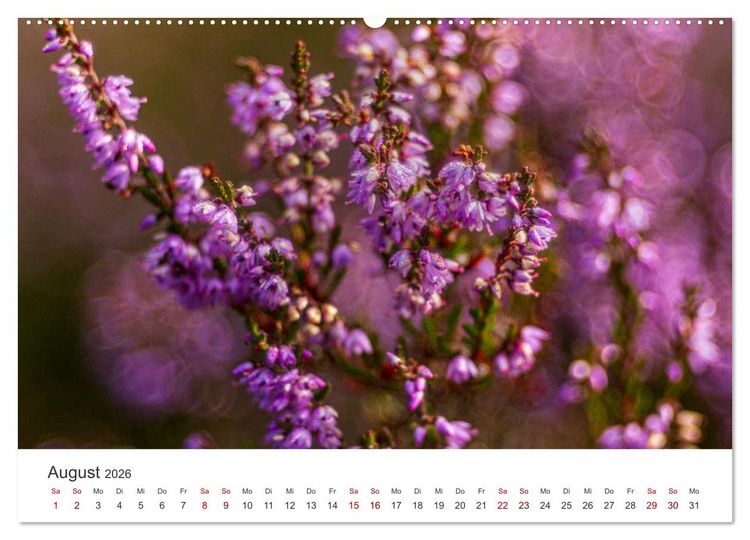 Produktbild: Naturjuwel Haspelmoor (Wandkalender 2026 DIN A2 quer), CALVENDO Monatskalender