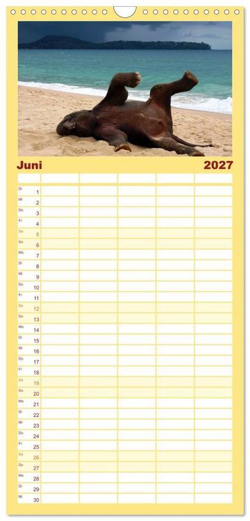 Produktbild: Familienplaner 2027 - Elefanten. Spa&szlig; am Wasser mit 5 Spalten (Wandkalender, 21 x 45 cm) CALVENDO