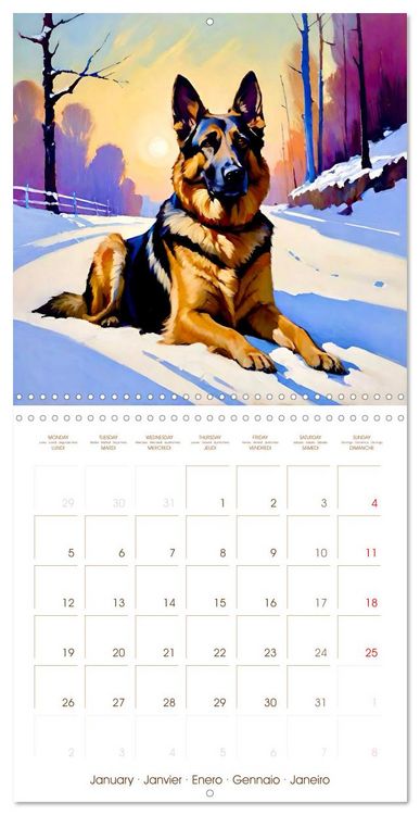 Produktbild: German Shepherd. The majestic character of a noble breed (Wall Calendar 2026 12 &times; 12 Inch) CALVENDO 12 Month Wall Calendar