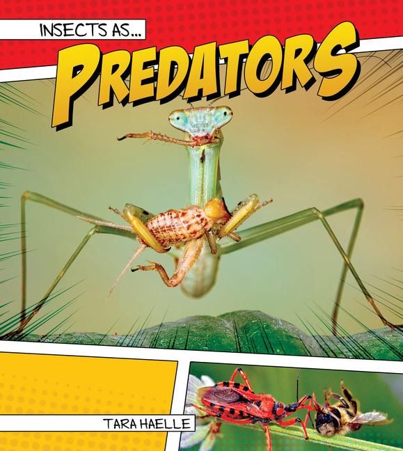 Produktbild: Insects as Predators