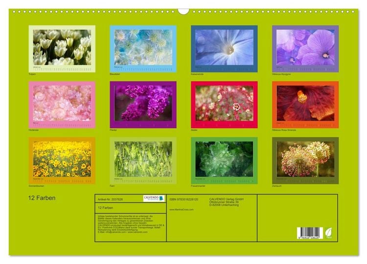 Produktbild: 12 Farben (Wandkalender 2026 DIN A2 quer), CALVENDO Monatskalender