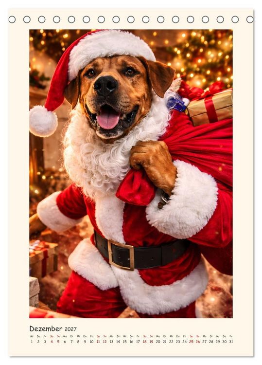 Produktbild: Rhodesian Ridgeback - Ein Hund mit vielen Talenten (Tischkalender 2027 DIN A5 hoch), CALVENDO Monatskalender