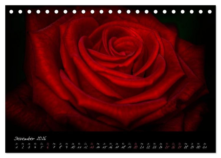Produktbild: Serenade - Visuelle Musik der Blumen (Tischkalender 2026 DIN A5 quer), CALVENDO Monatskalender