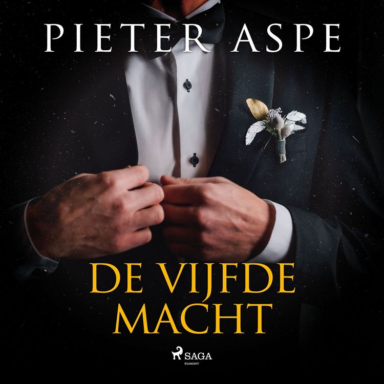 Produktbild: De vijfde macht
