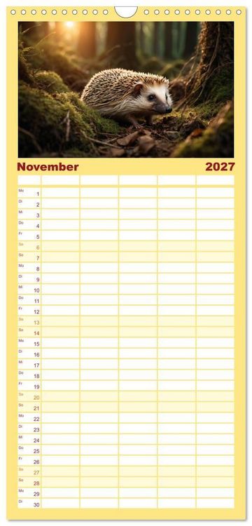 Produktbild: Familienplaner 2027 - Stachelstars mit 5 Spalten (Wandkalender, 21 x 45 cm) CALVENDO
