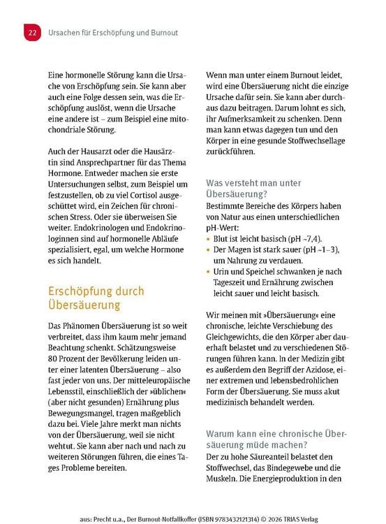 Produktbild: Der Burnout-Notfallkoffer
