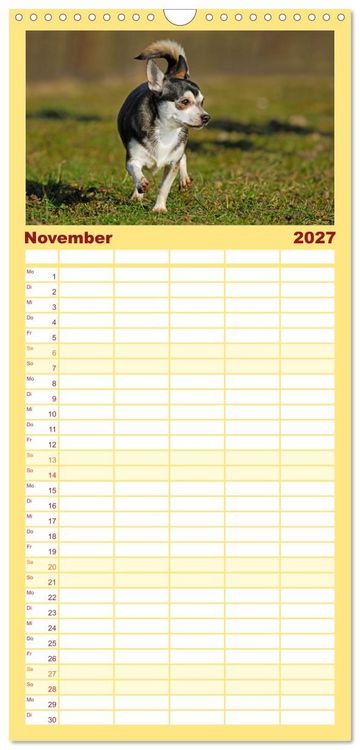Produktbild: Familienplaner 2027 - Enegieb&uuml;ndel Chihuahua - Temperament auf vier Pfoten mit 5 Spalten (Wandkalender, 21 x 45 cm) CALVENDO