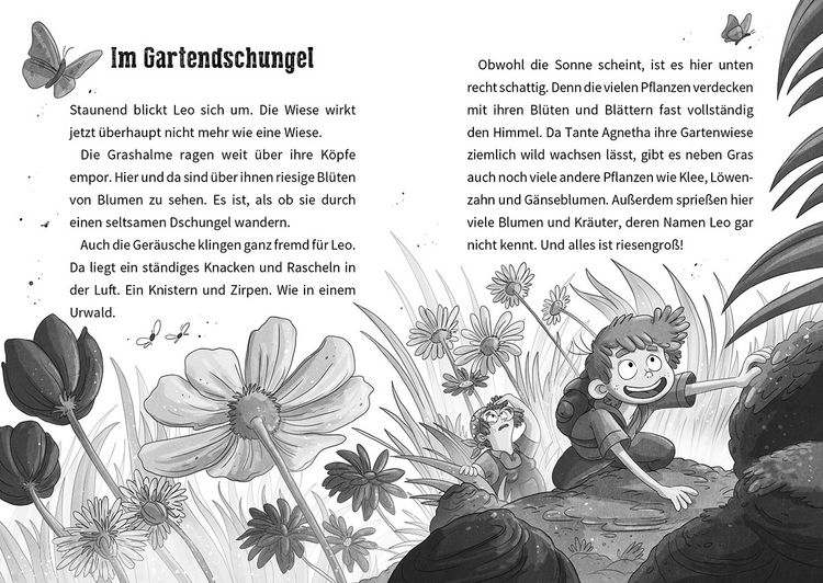 Produktbild: Leos wilde Abenteuer &ndash; K&auml;fer-Chaos