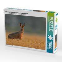 Produktbild: CALVENDO Puzzle Feldhase auf einem Stoppelacker im Morgenlicht | 1000 Teile Lege-Gr&ouml;&szlig;e 64x48cm Foto-Puzzle f&uuml;r gl&uuml;ckliche Stunden