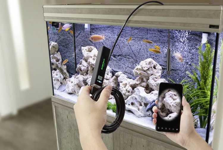 Produktbild: Basetech BSK-2100 USB-Endoskop Sonden-&Oslash;: 8mm Sonden-L&auml;nge: 10m