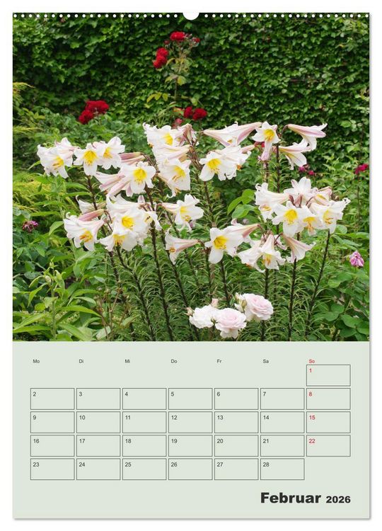 Produktbild: Lilien im Garten (hochwertiger Premium Wandkalender 2026 DIN A2 hoch), Kunstdruck in Hochglanz