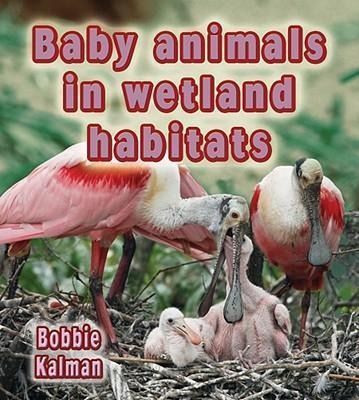 Produktbild: Baby Animals in Wetland Habitats
