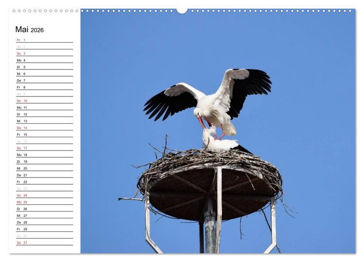 Produktbild: Crailsheim - Stimmungsvolle Momente (hochwertiger Premium Wandkalender 2026 DIN A2 quer), Kunstdruck in Hochglanz
