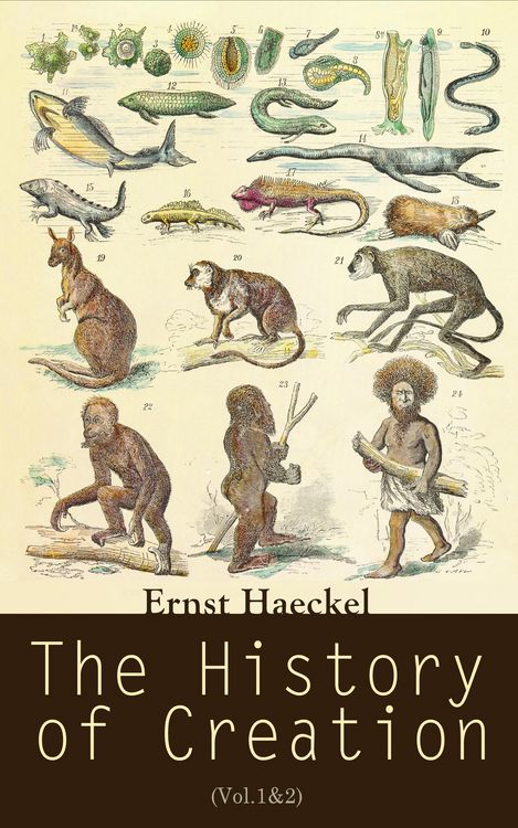 Produktbild: The History of Creation (Vol.1&2)
