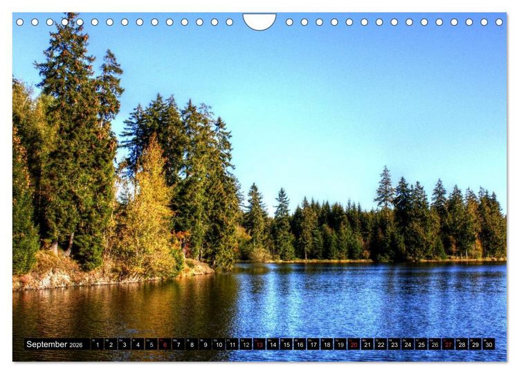 Produktbild: Verzauberter Harz (Wandkalender 2026 DIN A4 quer), CALVENDO Monatskalender