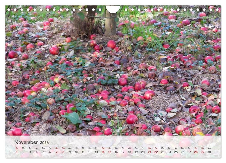 Produktbild: Vier Jahreszeiten - Eine Welt (Wandkalender 2026 DIN A4 quer), CALVENDO Monatskalender