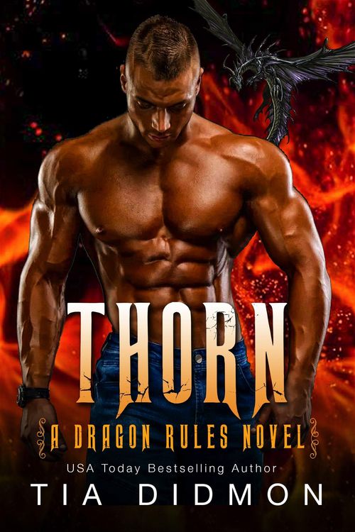 Produktbild: Thorn: (Dragon Rules, #4)