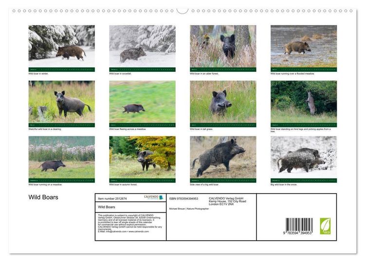 Produktbild: Wild Boars (High Quality Premium Wall Calendar 2027 DIN A2 landscape),CALVENDO 12 Month Wall Calendar