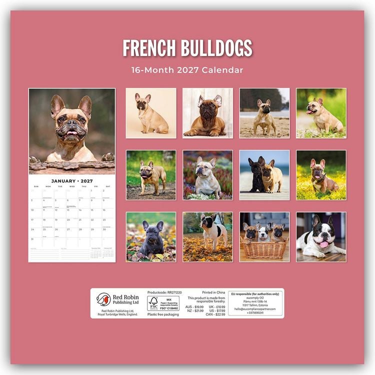 Produktbild: French Bulldogs &ndash; Franz&ouml;sische Bulldoggen 2027 &ndash; 16-Monatskalender