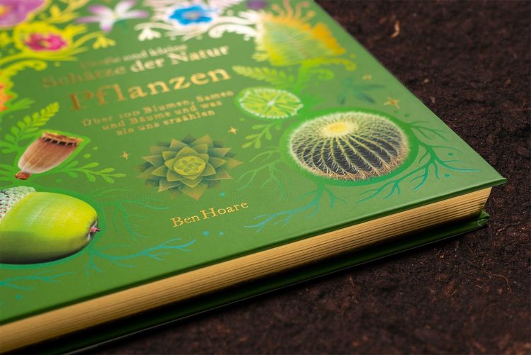 Produktbild: Gro&szlig;e und kleine Sch&auml;tze der Natur. Pflanzen