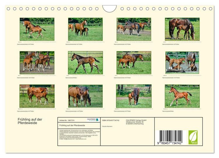 Produktbild: Fr&uuml;hling auf der Pferdeweide (Wandkalender 2026 DIN A4 quer), CALVENDO Monatskalender
