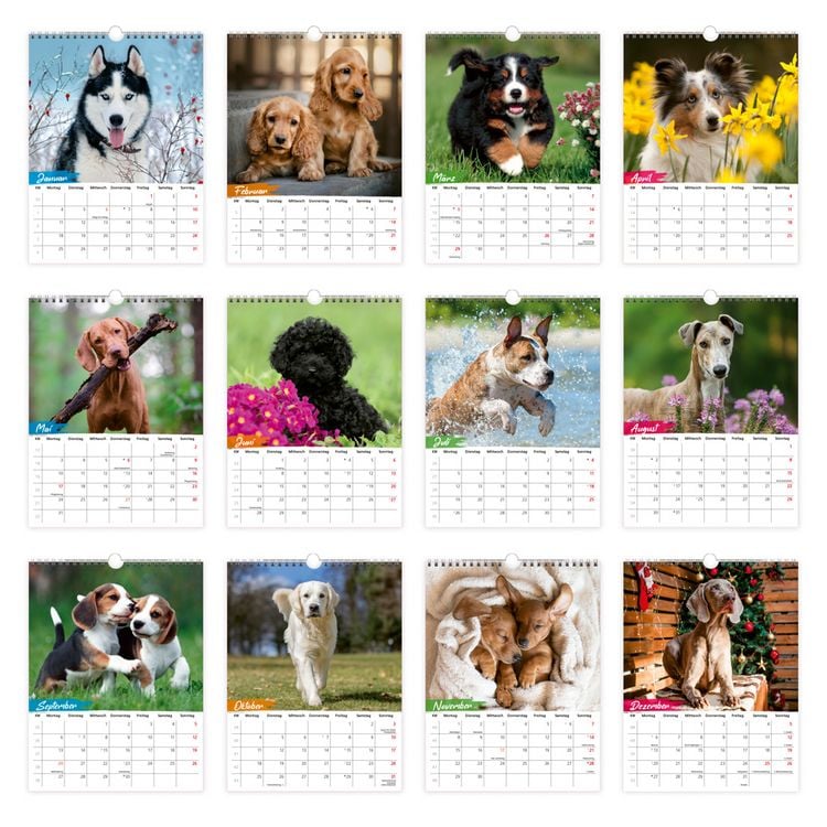 Produktbild: TR&Ouml;TSCH - Notizkalender zum H&auml;ngen Hunde 2027