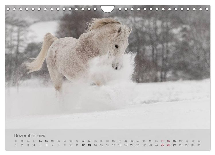 Produktbild: Pferde - Anmut und St&auml;rke gepaart mit Magie (Wandkalender 2026 DIN A4 quer), CALVENDO Monatskalender