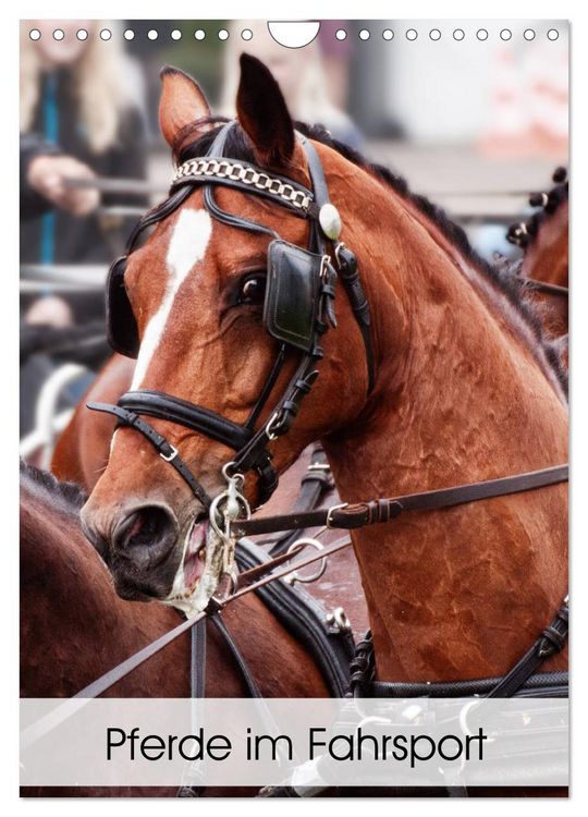 Produktbild: Pferde im Fahrsport (Wandkalender 2026 DIN A4 hoch), CALVENDO Monatskalender