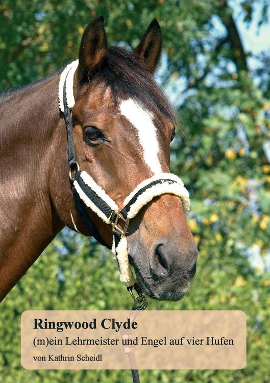 Produktbild: Ringwood Clyde