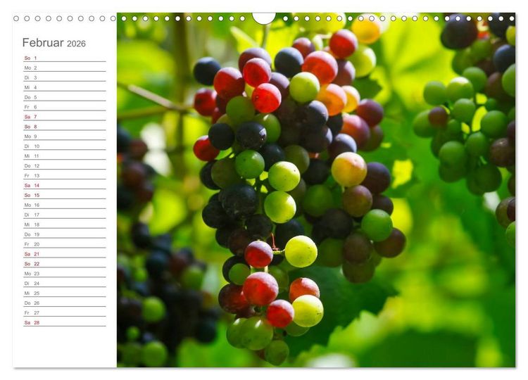 Produktbild: Wein (Wandkalender 2026 DIN A3 quer), CALVENDO Monatskalender