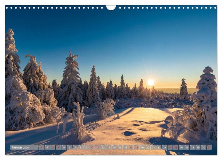 Produktbild: Ein Jahr im Schwarzwald (Wandkalender 2026 DIN A3 quer), CALVENDO Monatskalender