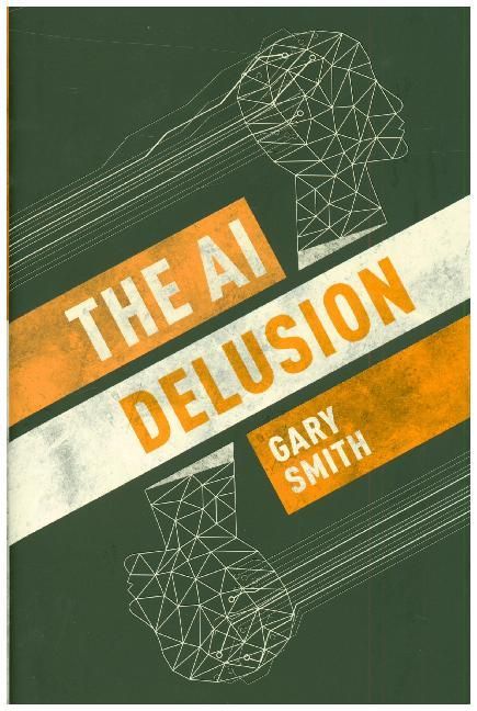 Produktbild: The AI Delusion