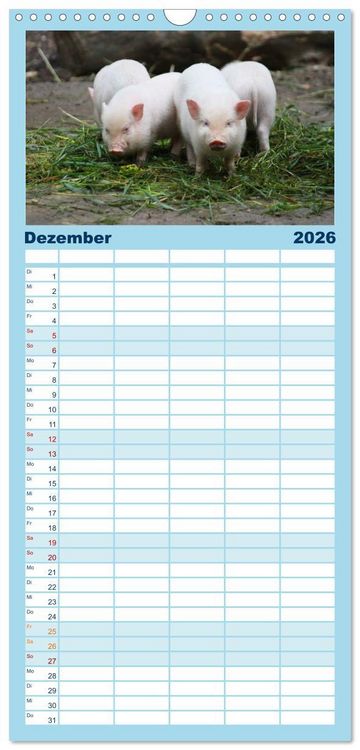 Produktbild: Familienplaner 2026 - Tierische Schweinerei mit 5 Spalten (Wandkalender, 21 x 45 cm) CALVENDO