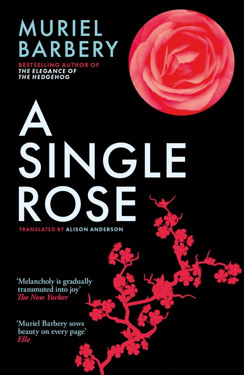 Produktbild: Barbery, M: A Single Rose