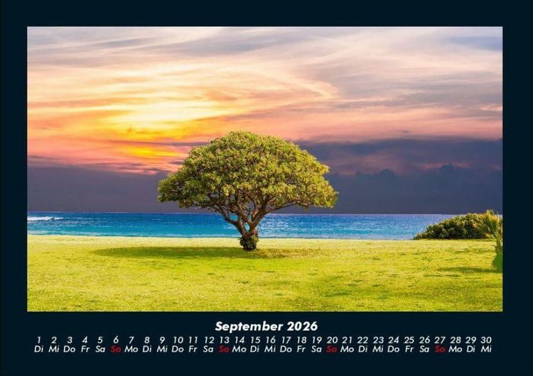 Produktbild: B&auml;ume 2026 Fotokalender DIN A4