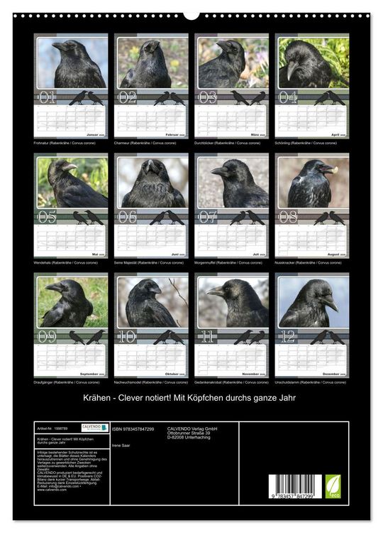 Produktbild: Kr&auml;hen - Clever notiert! Mit K&ouml;pfchen durchs ganze Jahr (hochwertiger Premium Wandkalender 2026 DIN A2 hoch), Kunstdruck in Hochglanz