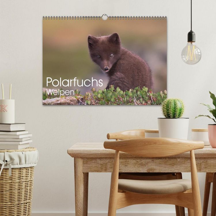 Produktbild: Polarfuchs-Welpen (Wandkalender 2026 DIN A3 quer), CALVENDO Monatskalender