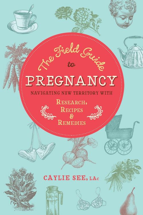 Produktbild: The Field Guide to Pregnancy