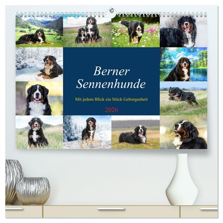 Produktbild: Berner Sennenhunde - Mit jedem Blick ein St&uuml;ck Geborgenheit (hochwertiger Premium Wandkalender 2026 DIN A2 quer), Kunstdruck in Hochglanz