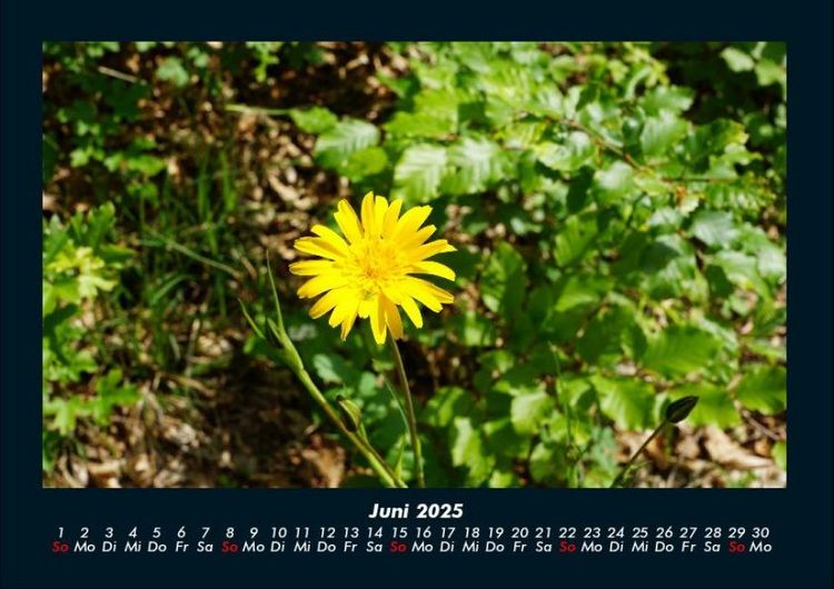 Produktbild: Naturlandschaften 2025 Fotokalender DIN A4